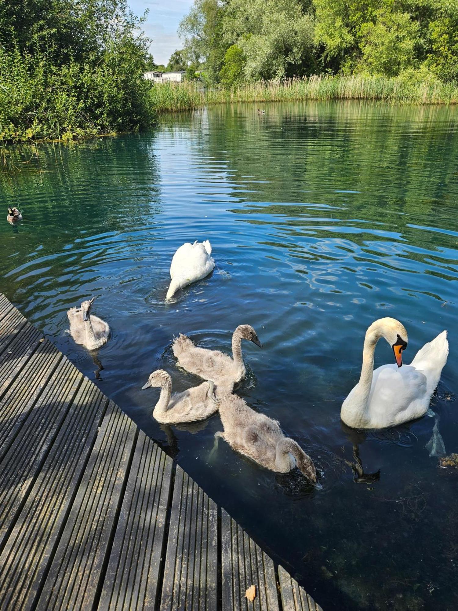 Luxury Lakeside Caravan With Hottub And Private Fishing Peg, Tattershall Lakes Exterior foto